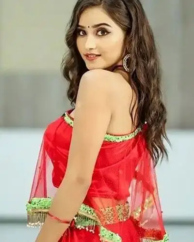 Call Girls Service Renapur